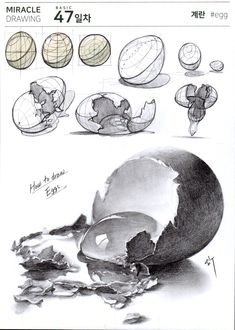 계란. Egg. (Sharp pencil on A4, 2024) 더 많은 스케치 자료와 빠른 정보는 인스타에 먼저 올라갑니다! 링크 클릭! Check Instagram for more sketch Data and real time release! Check link!  #illust #일러스트 #drawing #illustration #그림 #드로잉 #sketch #daily #illustrator #doodle #draw #design  #일러스트레이션 #손그림 #스케치 #국민대 #건국대 #과기대 #경희대 #한양대 #입시미술 #미대입시 #실기대회 #임쌤 #미라클드로잉 #임t #기초디자인 #기초조형 #합격작 #구도 #개체묘사 Egg Sketch, Egg Drawing, Labs Art, Drawing Conclusions