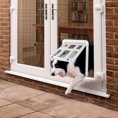 a black and white dog is sticking its head out of a window with a screen on it