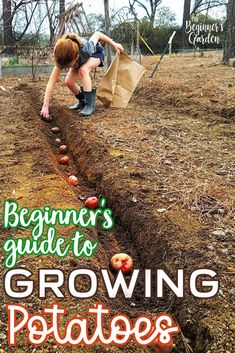 a young boy digging in the ground with an apple tree and bag on his shoulder