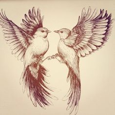 two birds are touching each other with their wings