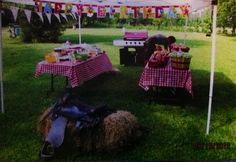 an outdoor birthday party with hay bales and tables covered in pink checkered tablecloths