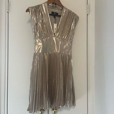 Banana Republic Champagne Metallic Sleeves Dress! 0p, Great For Spring & Summer! Head Turner! Side Zipper, Approx 33” Length. Pleated V-neck Dress For Party Season, Elegant Pleated Mini Dress For Party Season, Chic Pleated Dresses For Party Season, Glamorous Pleated Summer Dress, Gold Pleated Cocktail Dress, V-neck Pleated Dress For Party Season, Dressy Sleeveless Pleated Party Dress, Sleeves Dress, Summer Color