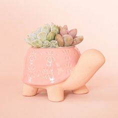 Turtle Ceramic Planter - Ed's Plant Shop Cacti Arrangement, Turtle Planter, Cactus Arrangement, Pink Turtle, Small House Plants, Ceramic Turtle, Artist Alley, Small Succulents