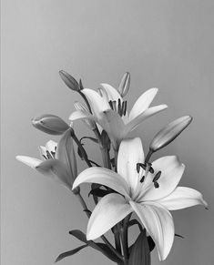 a black and white photo of flowers in a vase