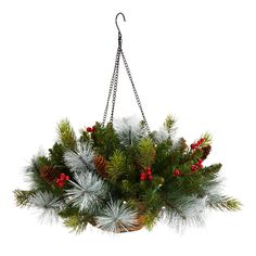 a hanging basket filled with pine cones and red berries on top of a white background