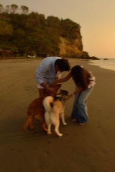 a man and woman petting two dogs on the beach at sunset with trees in the background