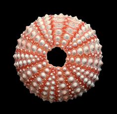 an orange and white beaded object on a black background