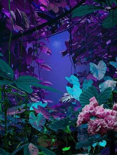 pink and purple flowers are in the middle of green plants with blue lights behind them