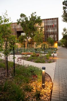 Bilya Marlee - a healing environment in Perth — LANDSCAPE ARCHITECTURE AOTEAROA University Of Western Australia, Campus Landscape, Healing Environment, Indigenous Studies, Commercial Landscaping, Landscape And Urbanism