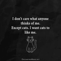 a black and white photo with a cat saying i don't care what anyone thinks of me except cats i want to like me