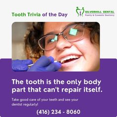 Family Dentist in Etobicoke Trivia Of The Day, Family Dentist, Big Smiles, Dental Teeth