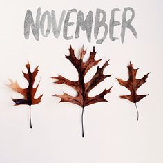 three autumn leaves with the words november written on them in grey and black ink against a white background