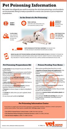 an info sheet for pet pooping information