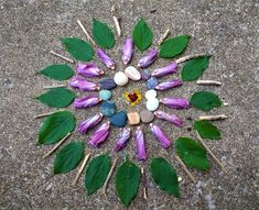 a circle made out of rocks, leaves and stones on top of the cement floor