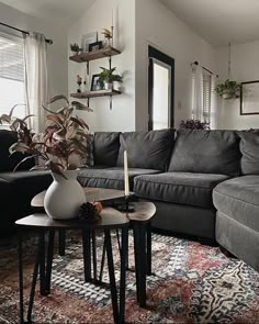 a living room filled with furniture and plants on top of a rug in front of a window