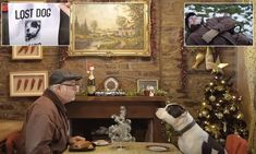 a man sitting at a table with a dog in front of him and pictures on the wall