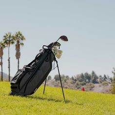 a golf bag sitting on top of a green grass covered field with palm trees in the background