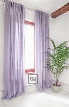 a potted plant sitting next to a window in a room with white walls and wooden beams