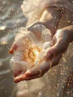 a person holding a flower in their hands with water droplets around it and sparkles all over the surface