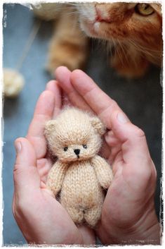 a person holding a small teddy bear in their hands with a cat behind them looking at it