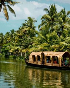 people are riding in a boat on the water with palm trees behind them and blue sky