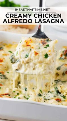 creamy chicken alfredo lasagna in a white casserole dish with a serving spoon