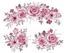 some pink flowers and leaves on a white background