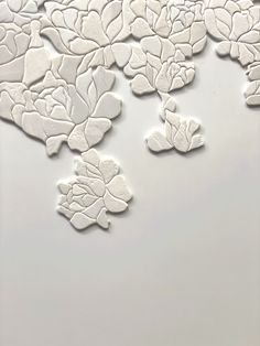 some white flowers are sitting on a table