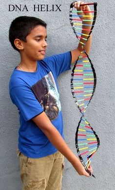 a young boy holding up a model of a double - stranded geneal structure