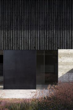 an exterior view of a building with black glass doors and plants in the foreground