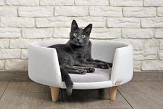 a black cat is sitting in a white chair on the floor next to a brick wall