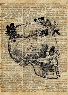 an old book page with a skull and flowers on it