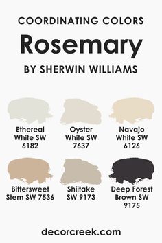 Coordinating Colors of SW 6187 Rosemary She Twin Williams Rosemary, Wherein Williams Rosemary, Rosemary Sherwin Williams Color Schemes, Sw 6187 Rosemary, Rosemary Paint, Rosemary Sw, Sherwin Williams Rosemary, Cottage Color Palette, Wabi Sabi Color