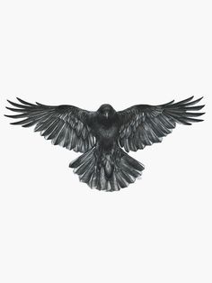 a drawing of a black bird with its wings spread out, flying in the air