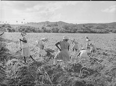 an old black and white photo of women working in a field