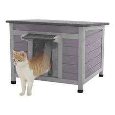 an orange and white cat standing next to a purple dog house with its door open