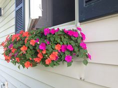 a window box filled with pink and orange flowers