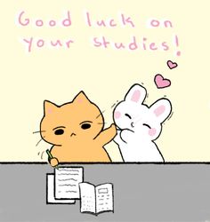 a cat and bunny are sitting at a table with an open book in front of them that says, good luck on your studies