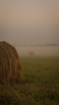 two bales of hay in the middle of a field on a foggy day