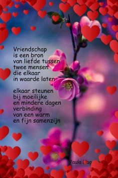 a pink flower surrounded by hearts on a blue and red background with the words, friendshap is een liee tussen welten