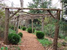 a path in the middle of a wooded area