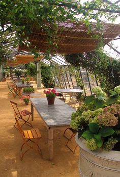 an outdoor dining area with tables, chairs and potted plants on the table in front of it