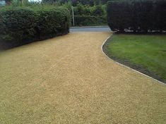 a driveway with grass and bushes around it