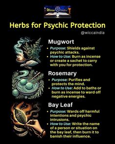 Native American Herbs, Candle Color Meanings, Protection Oil, Spiritual Space, Spiritual Reality, Sweet Magic