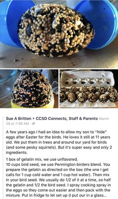 an article about how to make homemade bird seed feeders