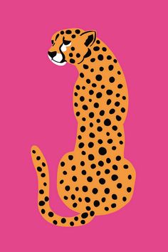 a cheetah sitting on its hind legs in front of a pink background with black dots