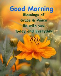 a yellow flower with the words good morning on it and an image of flowers in the background