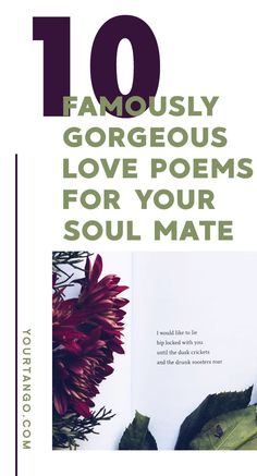 an open book with the title 10 famous gorgeous love poem for your soul matee