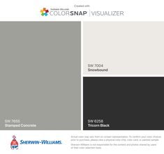 the colorsnap visualizer color scheme is shown in gray, white and black