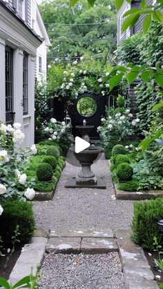 an outdoor garden with white flowers and greenery